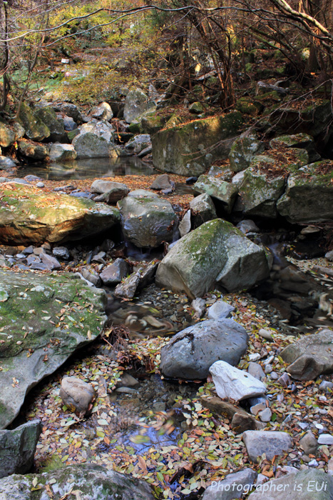 e0083238_112619.jpg