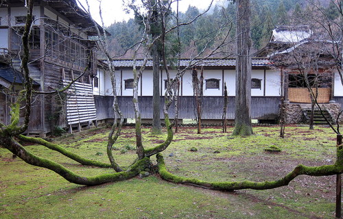 b0178339_23323427.jpg