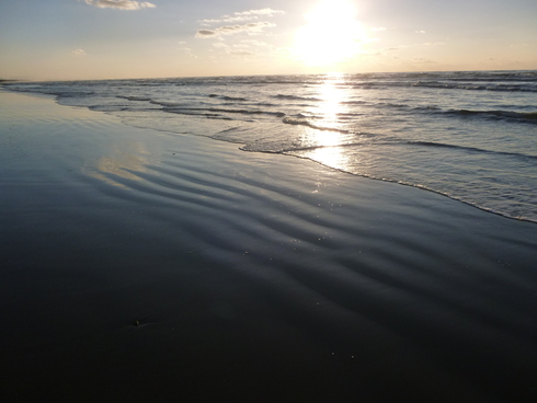e0002850_21525974.jpg