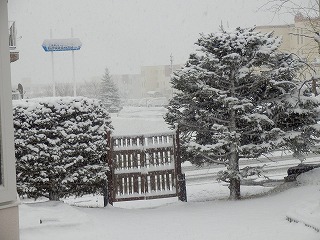 e0004756_21261498.jpg