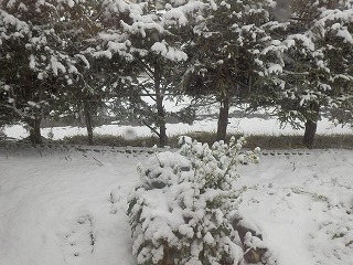 e0004756_2219675.jpg