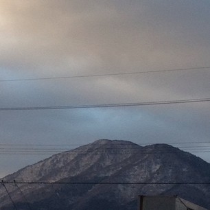 f0221360_2017330.jpg
