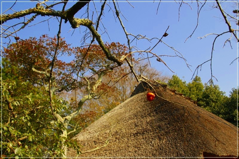 d0222579_22364478.jpg