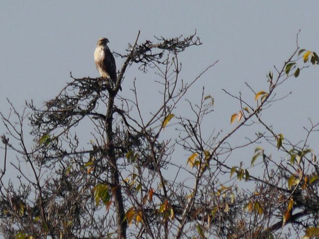 d0088184_188446.jpg