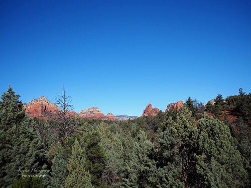 e0148185_12584896.jpg