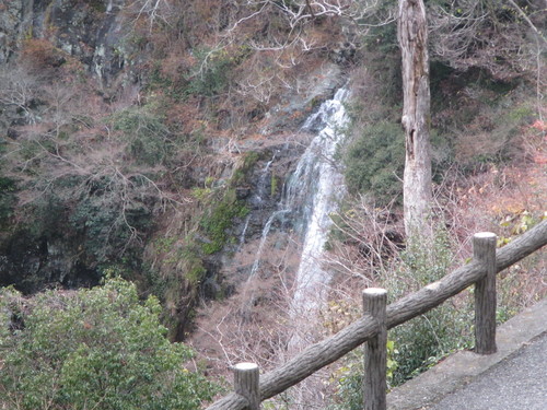 a0251786_12291623.jpg