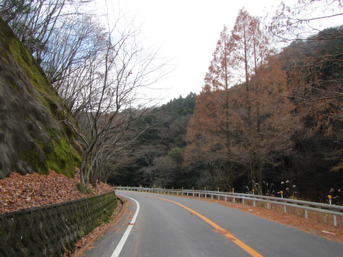 a0251786_12354593.jpg