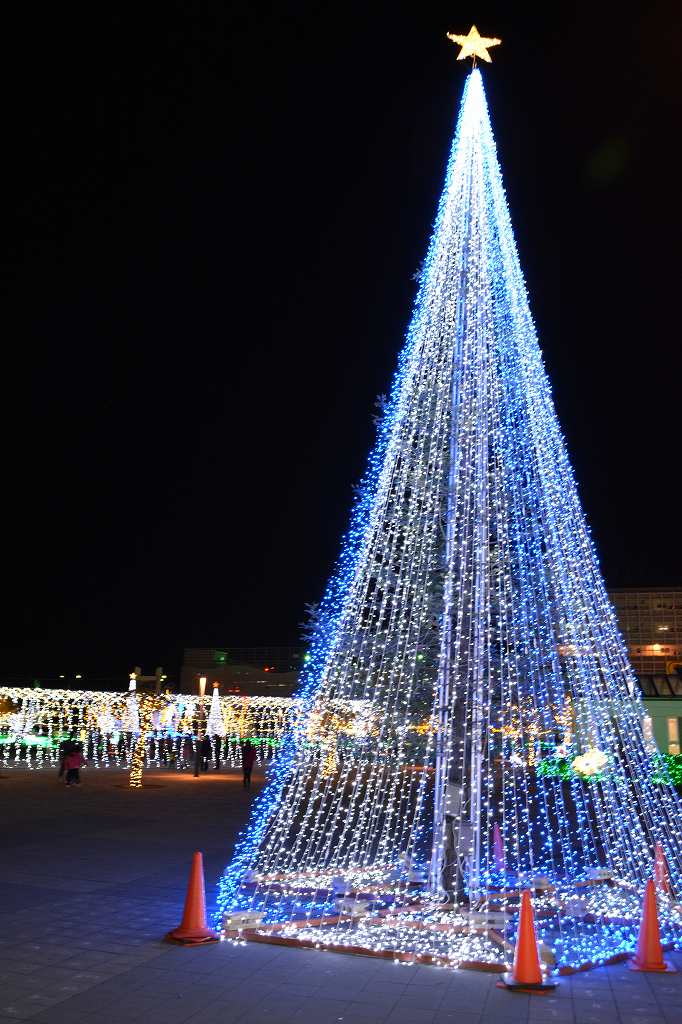 b0100489_6353740.jpg