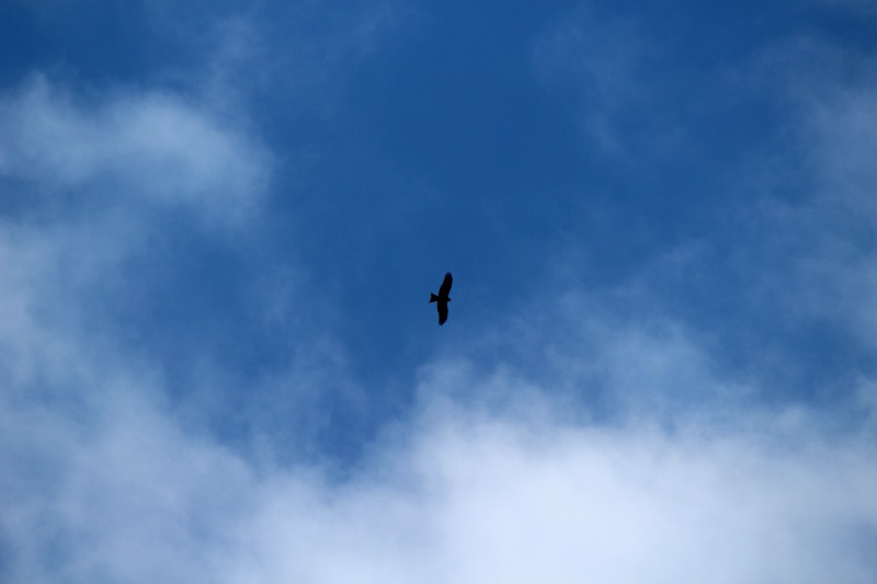 a0127090_22511370.jpg