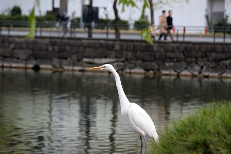 a0127090_22512478.jpg