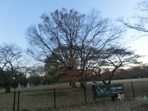 a0319693_10224588.jpg