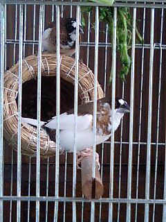 a0086994_1301315.jpg