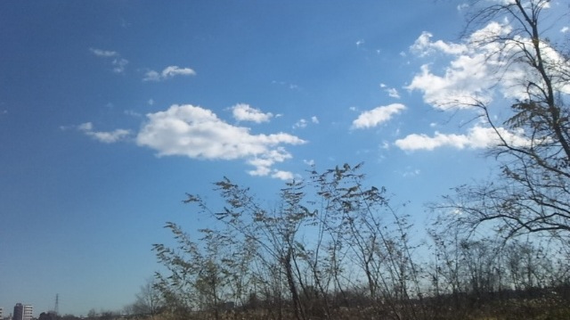 c0193396_14314552.jpg
