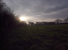 b0110999_5511444.jpg