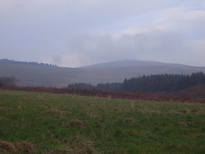 b0110999_551363.jpg