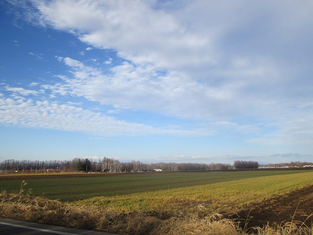 f0202703_21571837.jpg