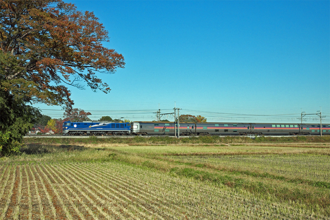 b0221605_9372732.jpg