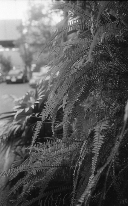 c0171206_1114759.jpg