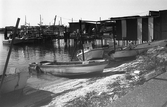 c0171206_113155.jpg