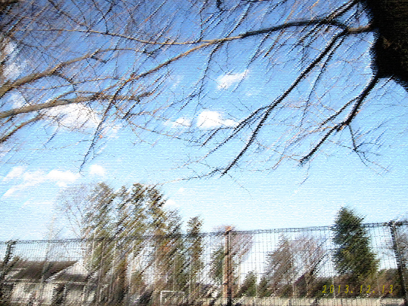 e0244621_2364237.jpg