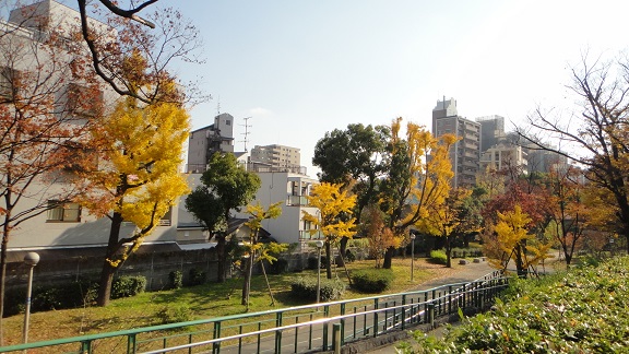 f0000521_1922018.jpg