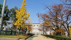 f0000521_19231065.jpg