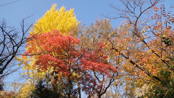 f0000521_19241081.jpg