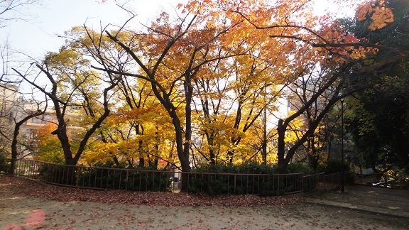 f0000521_206650.jpg
