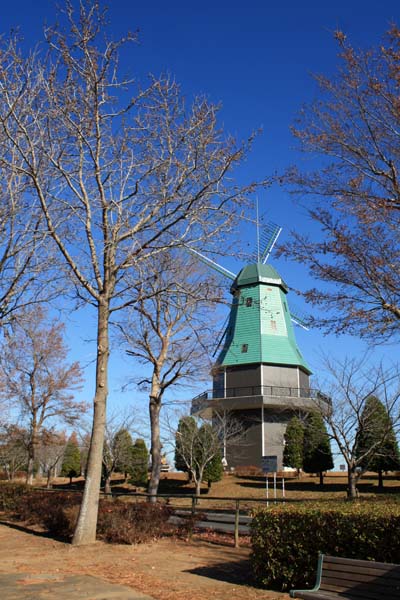 f0147025_18372090.jpg