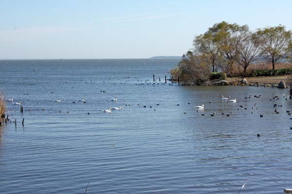 f0147025_1848105.jpg