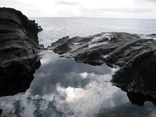 c0051529_1314965.jpg
