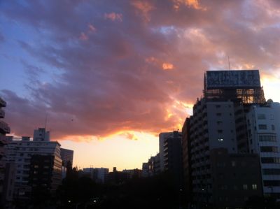 f0132230_26288.jpg