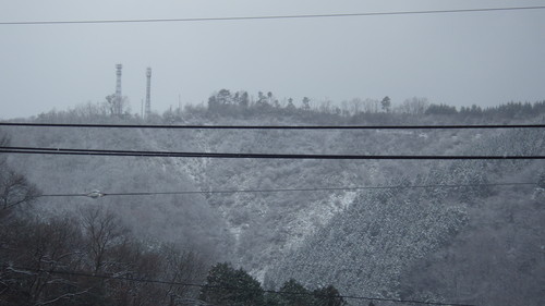 c0300035_16152365.jpg