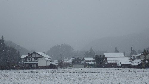 c0300035_1655380.jpg