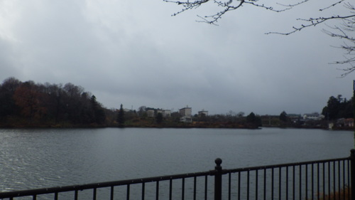 c0300035_1694533.jpg