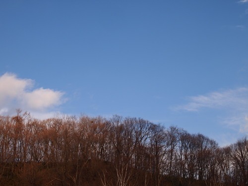 c0117239_1255484.jpg