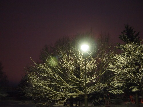c0117239_134586.jpg