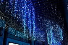 c0171349_16174710.jpg