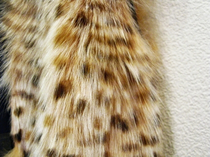 e0096563_17183528.jpg