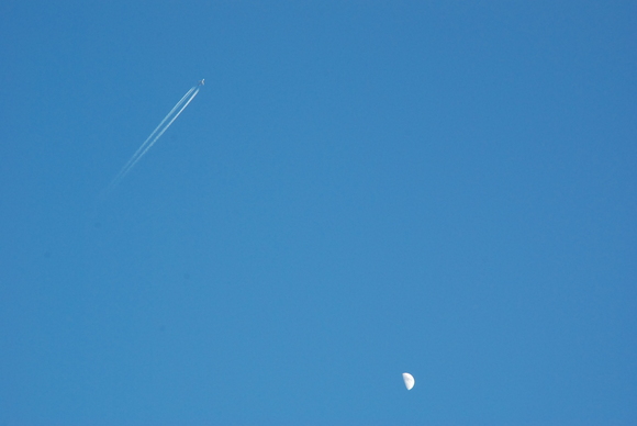 e0208965_4392128.jpg