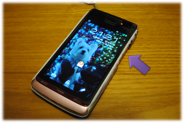 b0242873_145480.png