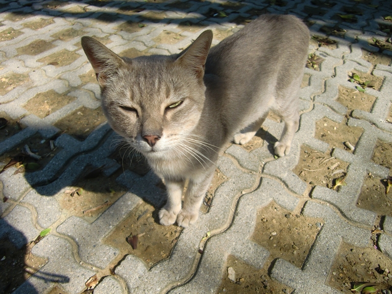 f0238779_06523434.jpg
