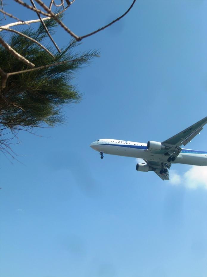 f0238779_06540144.jpg