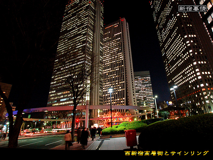 c0009981_73812.jpg