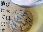 e0264497_2091661.jpg