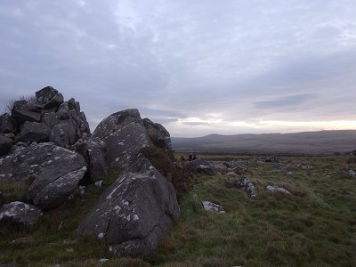 b0110999_3574878.jpg