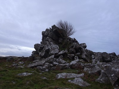 b0110999_3582297.jpg