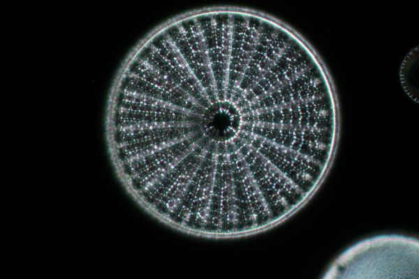 c0164709_22162520.jpg
