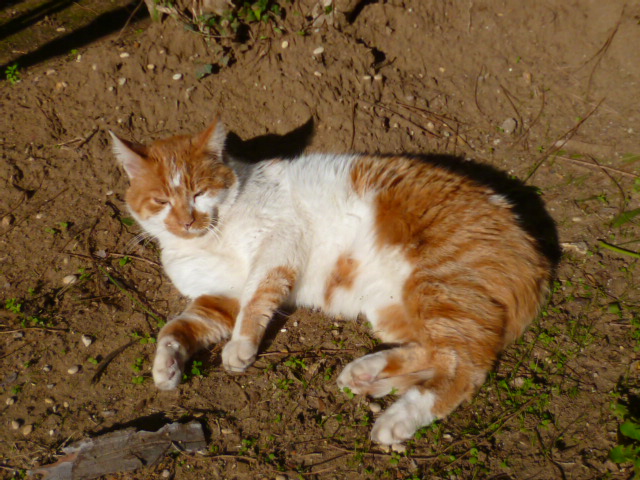 f0315911_4275836.jpg
