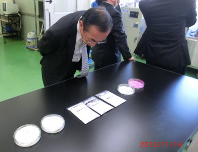 d0066515_11542375.jpg